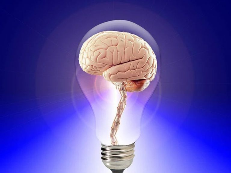 Italiani tra i piu' intelligenti in Europa 9