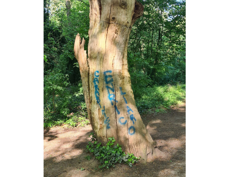 Albero con scritta 9