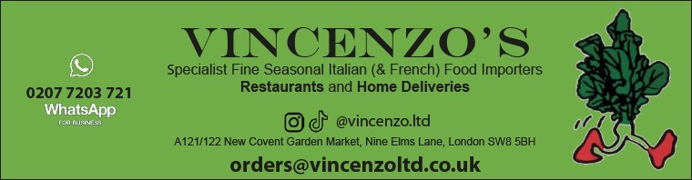 Vincenzo LTD